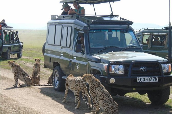 Lake Nakuru, Naivasha & Masai Mara 4 Days Private Jeep Safari - Key Things That Make This Safari Worth Your Attention