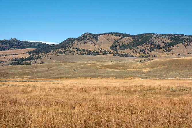 Lamar Valley Safari Hiking Tour with Lunch - Lamar Valley Safari: what you’re really buying