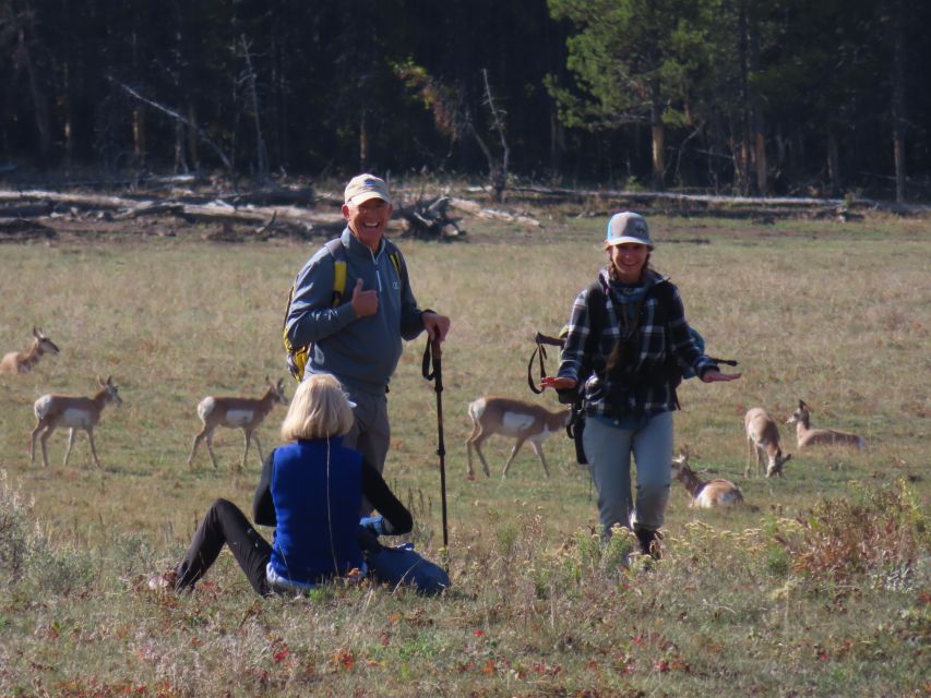 Lamar Valley: Safari Hiking Tour with Lunch - Practical tips for a smoother start