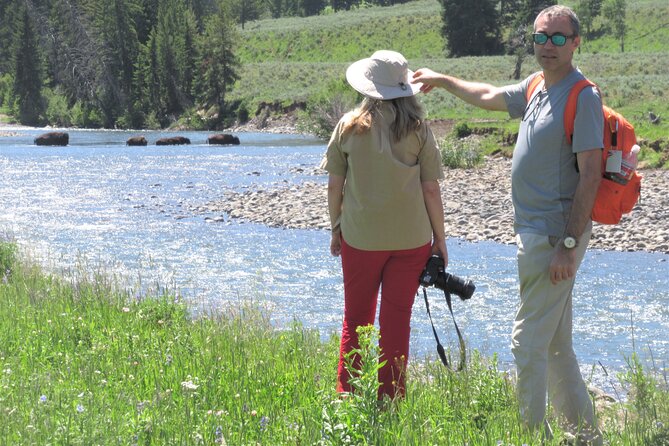 Lamar Valley Safari Hiking Tour with Lunch - Timing and Lamar Valley logistics: start early, stay patient