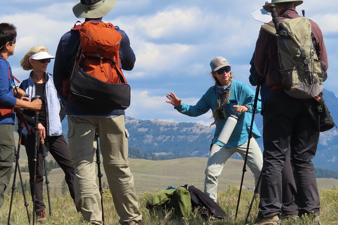 Lamar Valley Safari Hiking Tour with Lunch - Wildlife odds and the guide safety toolkit (bear spray, scope, and distance)