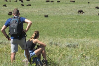 Lamar Valley: Safari Hiking Tour with Lunch - 8:00 am meeting at the Lamar River Hiker Trailhead