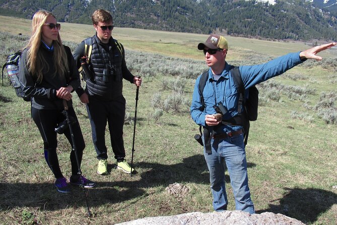 Lamar Valley Safari Hiking Tour with Lunch - Comfort, fitness, and what to pack for a Lamar Valley morning