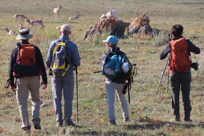 Lamar Valley Safari Hiking Tour with Lunch - Price, group size, and why small groups matter with wildlife