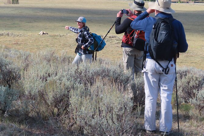 Lamar Valley Safari Hiking Tour with Lunch - Should you book the Lamar Valley Safari Hiking Tour?