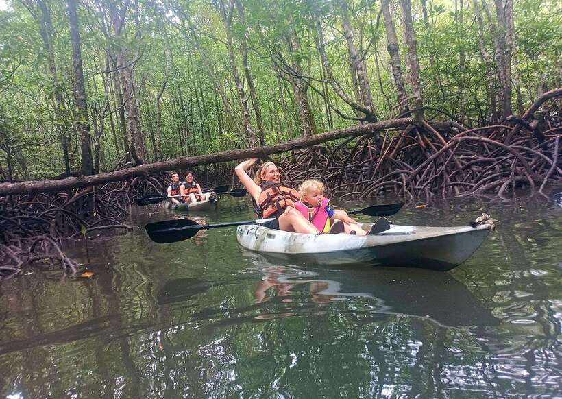 Langkawi: Kilim River Mangrove Safari Kayaking Tour - Wildlife You Might Spot From the Kayak: Plan for Surprises, Not Guarantees