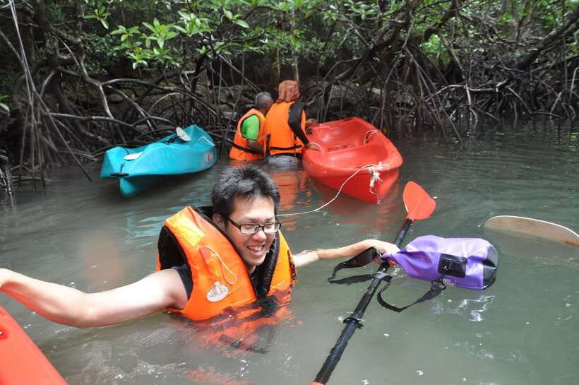 Langkawi: Kilim River Mangrove Safari Kayaking Tour - Guides and Group Size: Why the Small-Group Limit Matters
