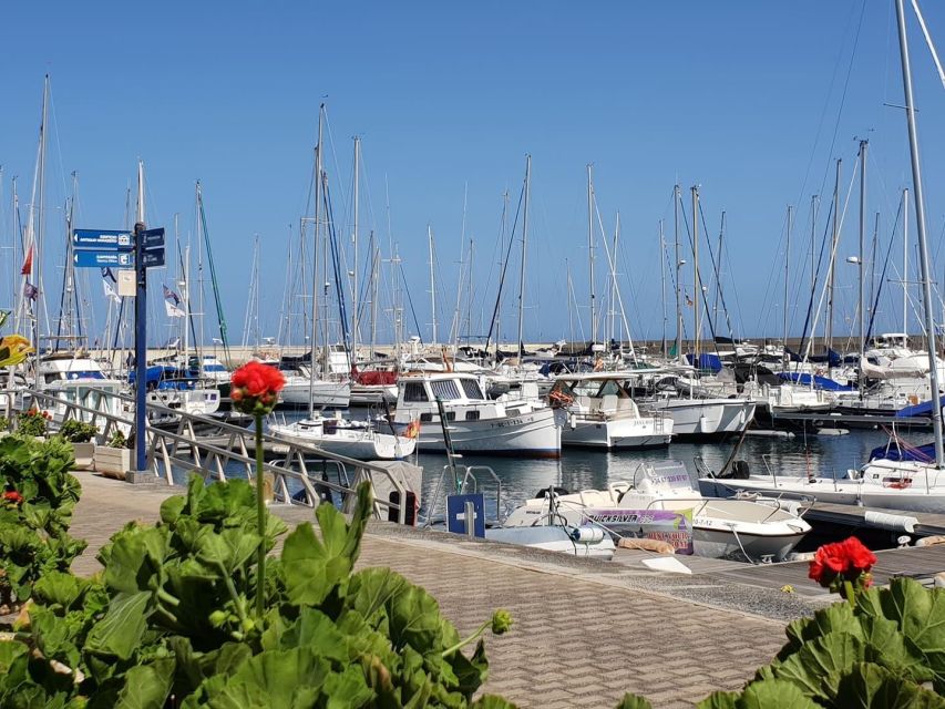 Lanzarote: Sea Safari Experience - Meeting point on pontoon H: how to make the start painless