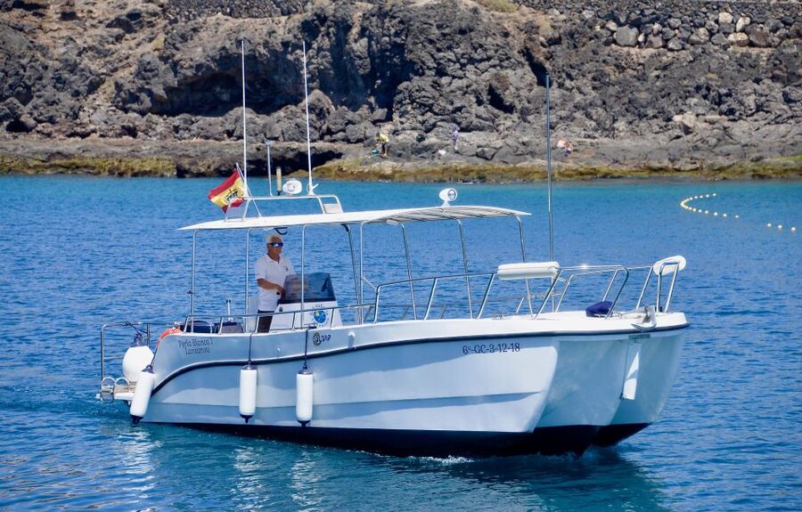 Lanzarote: Sea Safari Experience - Who this Lanzarote sea safari suits best