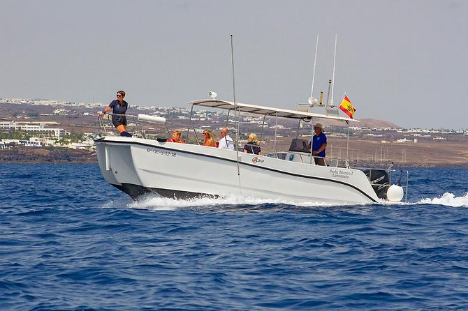 Lanzarote Sea Safari from Puerto calero - Price and Value: What $72.56 Really Buys
