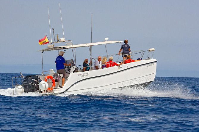 Lanzarote Sea Safari from Puerto calero - Who Should Book This Sea Safari (and Who Might Not)