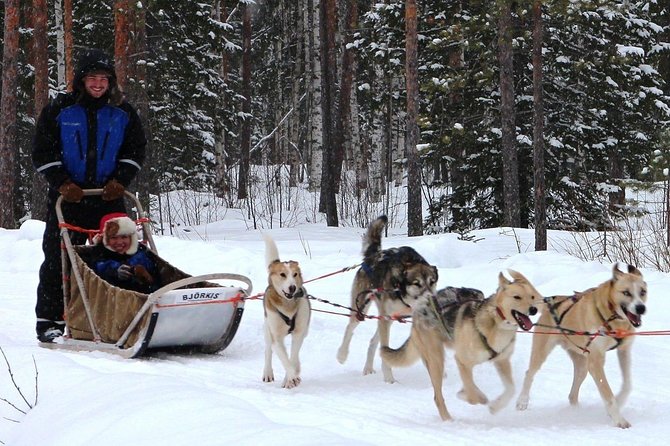 Lapland Husky Safari from Saariselkä - Practical Tips for First-Time Husky Sled Drivers