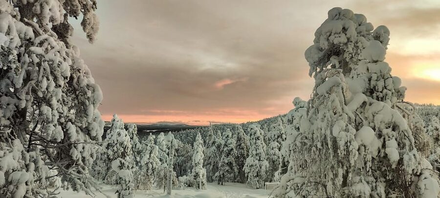 Lapland: Private Snowmobile Safari with arctic Local Guide - Luosto Private Snowmobile Safari: Why This Feels Less Like a Production