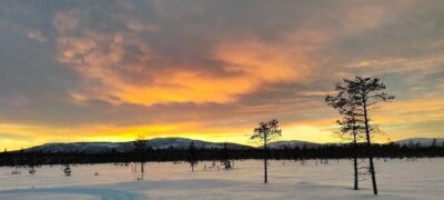 Lapland: Private Snowmobile Safari with arctic Local Guide - The Small-Group Setup: Max 5 People, Shared Snowmobiles, One Extra Passenger