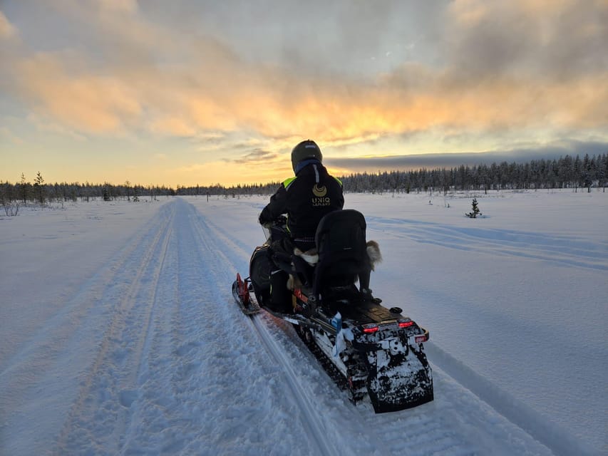 Lapland: Private Snowmobile Safari with arctic Local Guide - Warm Break by the Fireplace: Why the Pause Is the Best Part