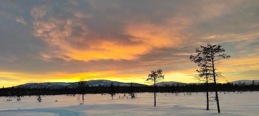 Lapland: Private Snowmobile Safari with arctic Local Guide - The Small-Group Setup: Max 5 People, Shared Snowmobiles, One Extra Passenger