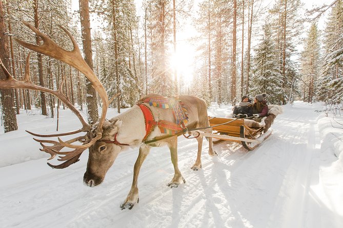 Lapland Reindeer and Husky Safari from Rovaniemi - Key Things to Know Before You Go