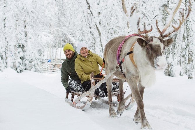 Lapland Reindeer and Husky Safari from Rovaniemi - Guides, Pickup Timing, and Staying Warm Without Losing Your Day