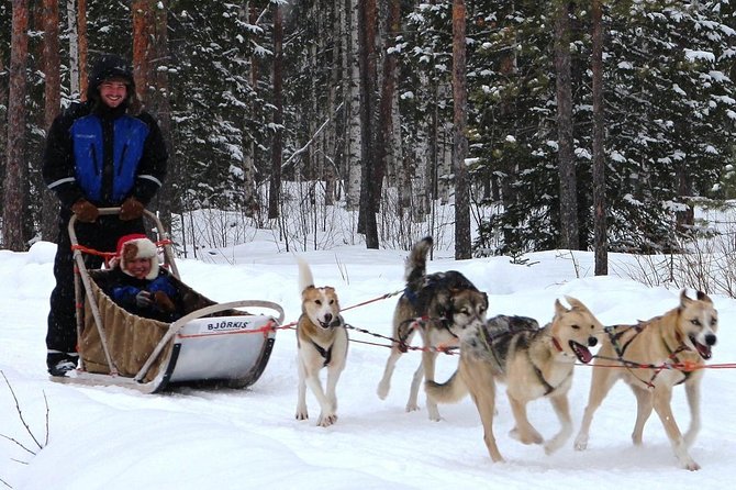 Lapland Reindeer and Husky Safari from Rovaniemi - Who This Tour Suits Best (And Who Might Want Something Else)