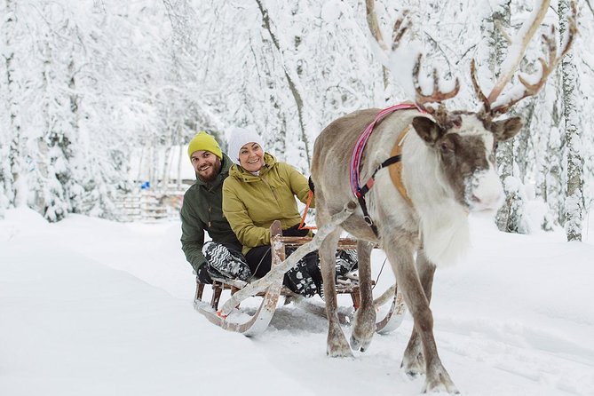 Lapland Reindeer Safari from Rovaniemi - The reindeer riding lesson, bonfire warmth, and the ceremony moment