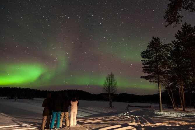 Lapland Reindeer Safari From Saariselkä - Key highlights that make this safari worth it