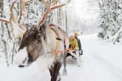 Lapland Reindeer Safari From Saariselkä - Pickup and the reality of a 12:00 pm start
