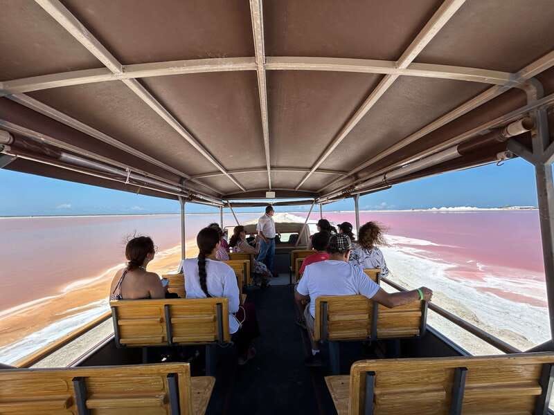 Las Coloradas: Pink Lakes Safari Tour - Key things to know before you go
