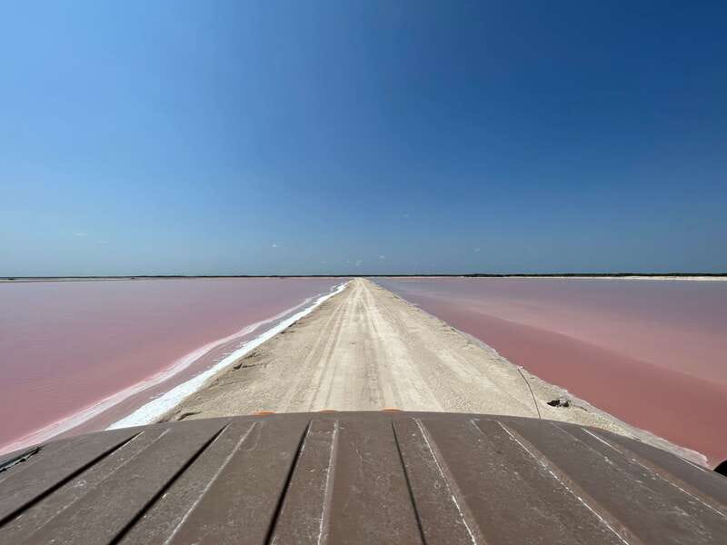 Las Coloradas: Pink Lakes Safari Tour - Who this tour fits best (and who should skip it)