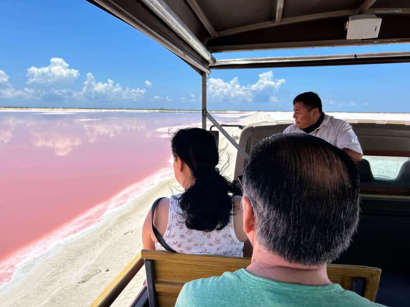 Las Coloradas: Pink Lakes Safari Tour - Pink Lakes Safari: why Las Coloradas looks the way it does