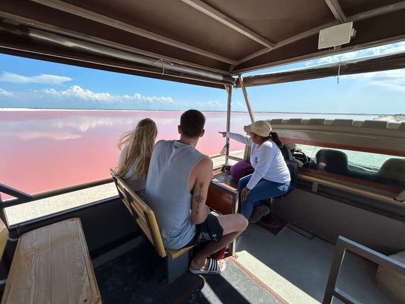 Las Coloradas: Pink Lakes Safari Tour - Sea salt plant visit: evaporation, crystal zones, and moonlike mounds