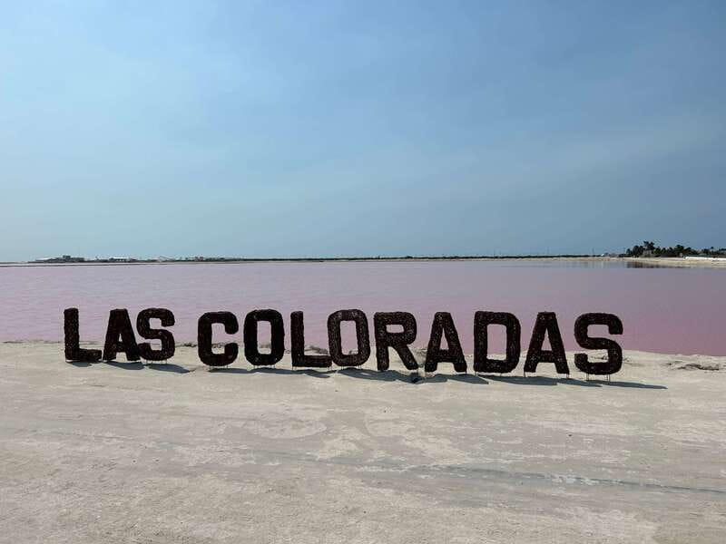 Las Coloradas: Pink Lakes Safari Tour - Pink water time at Las Coloradas: how to get the best color shots