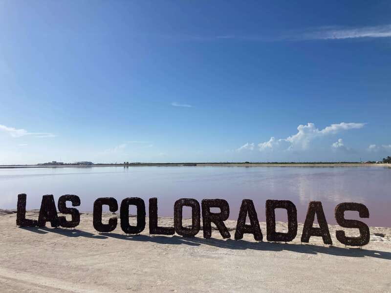 Las Coloradas: Pink Lakes Safari Tour - Flamingos and the wetlands: what the biosphere story adds