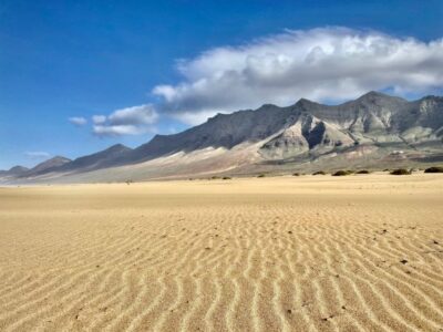 Las Palmas: Fuerteventura Cofete Beach and Desert Safari - Hotel pickup, then straight into the south by Land Cruiser/SUV