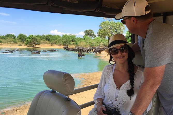 Leopard Safari Tour in Yala National Park - Key highlights to know before you go