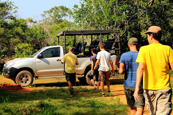 Leopard Safari Tour in Yala National Park - Getting the best shot at leopard sightings (without losing your patience)