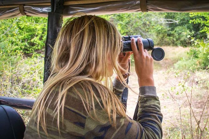 Leopard Safari Tour in Yala National Park - The 6 AM gate plan and the “golden hours” ride