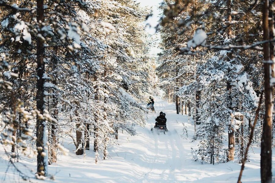 Levi: 3 Hour Snowmobile Safari Around Levi with Coffee Break - Key highlights worth getting excited about