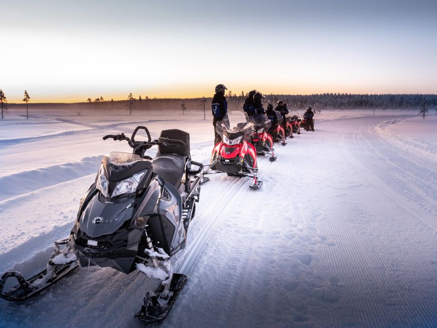 Levi: 3 Hour Snowmobile Safari Around Levi with Coffee Break - Price and Value at About $201 Per Person