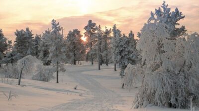 Levi: 4 Hour Snowmobile Safari to the Fells in Levi - Thermal Gear Included: Turning Cold Into a Non-Issue