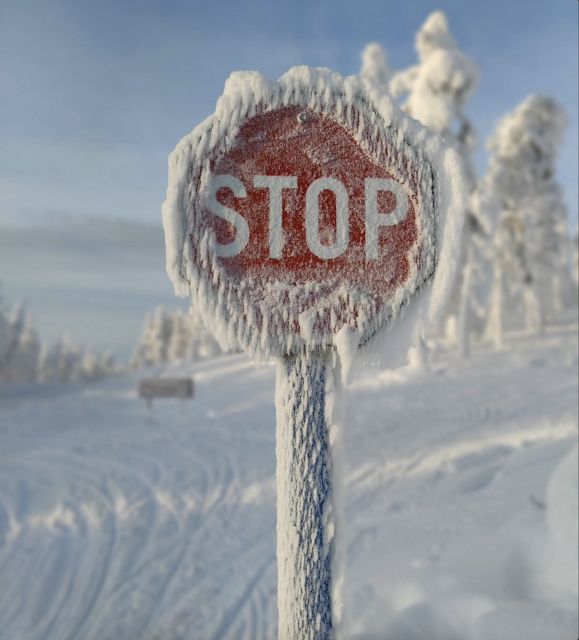 Levi: 4 Hour Snowmobile Safari to the Fells in Levi - Adult-Only Rules: Who This Tour Fits Well (and Who Should Skip It)
