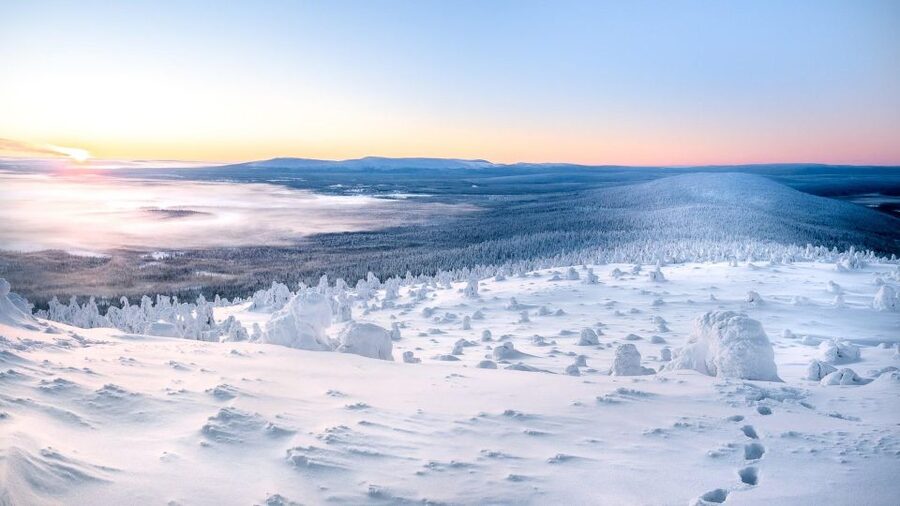 Levi: 4 Hour Snowmobile Safari to the Fells in Levi - Pricing and Value: Why $233 Can Be a Fair Deal Here