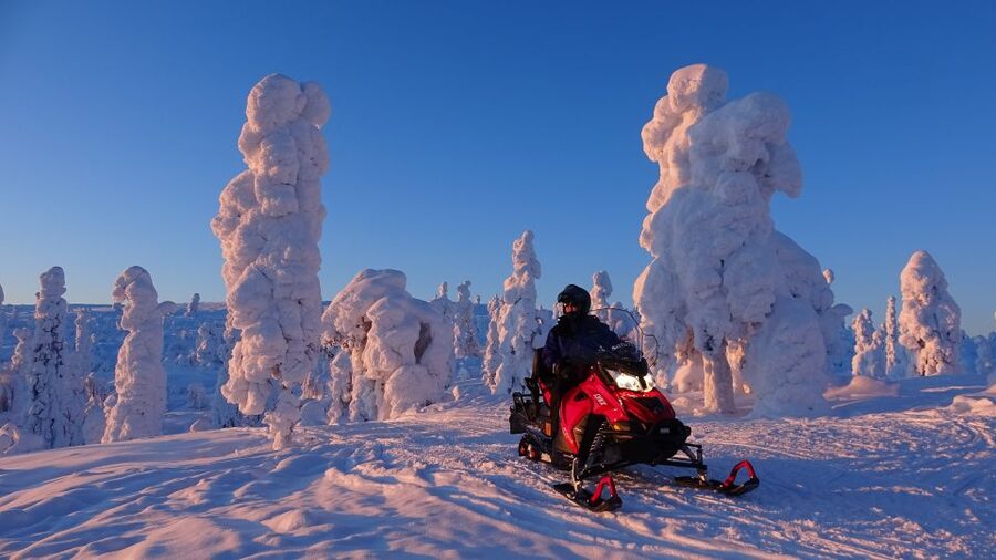 Levi: Evening Snowmobile Safari - The campfire stop: sausage, pastry, and stories in a forest shelter