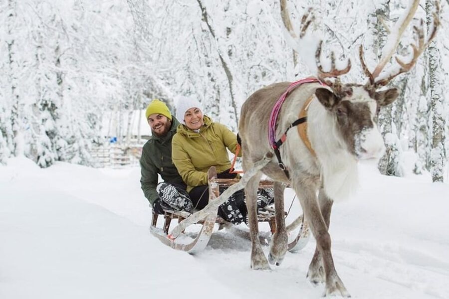 Levi: Lapland Reindeer and Husky Safari - Levi to the Reindeer Farm: Fast, Warm, and Straight to the Fun