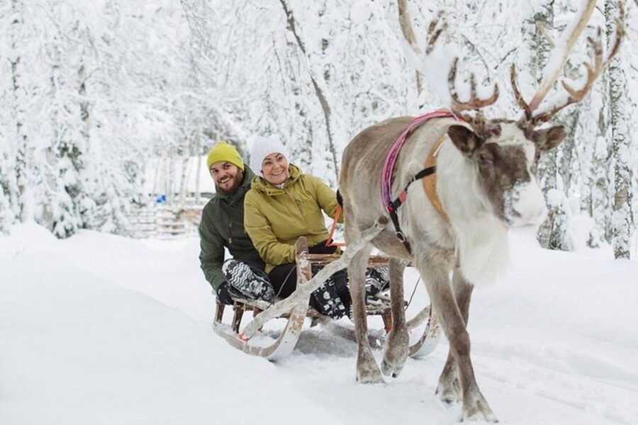 Levi: Lapland Reindeer Safari - Who This Levi Reindeer Safari Fits Best (and Who Should Skip)