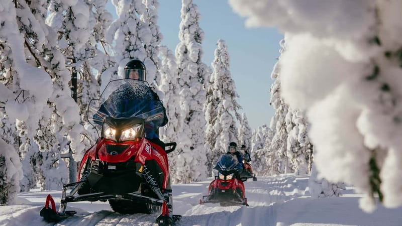 Levi: Snowmobile Safari to the Levi Nature - Before You Go: License Rules and the One Thing That Can Stop You