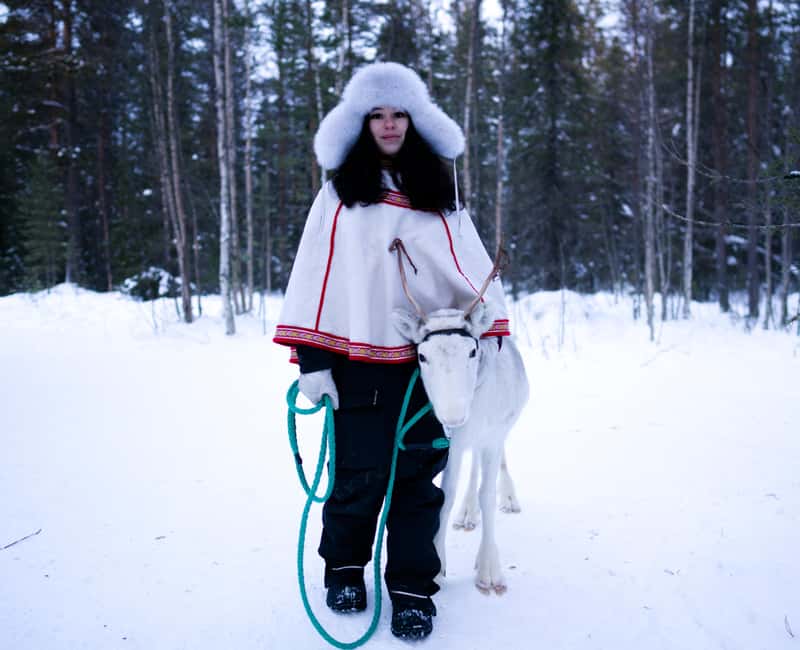 Levi: Winter Wilderness Husky & Reindeer Safari Combo Tour - Two sled rides and a winter transfer that actually make sense