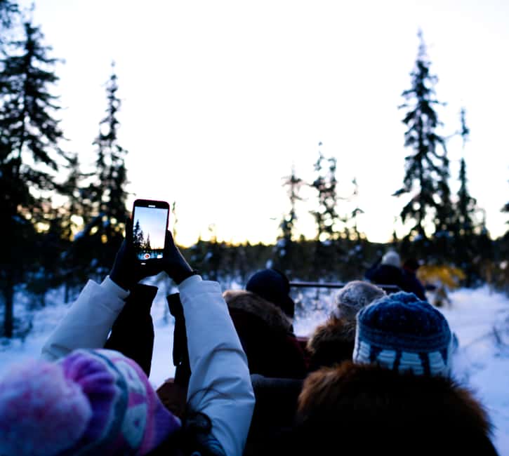 Levi: Winter Wilderness Husky & Reindeer Safari Combo Tour - From Levi Tourist Office to the reindeer farm