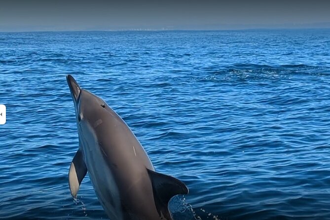 Lisbon Dolphin Watching Ocean Safari - Setting out from Doca Alcântara: the fast start and the Belem-river vibe