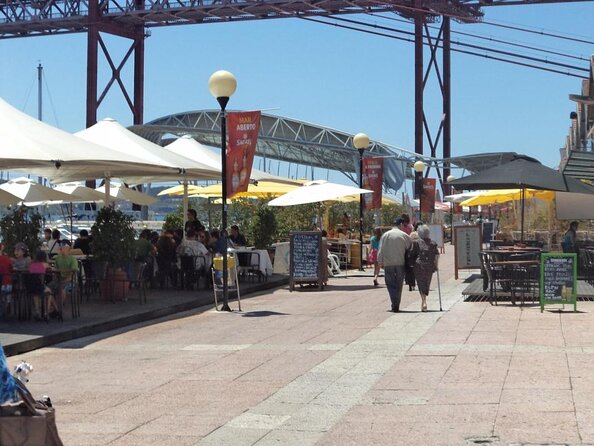 Lisbon: Dolphin Watching with a Marine Biologist - Ocean Safari - Key points before you go