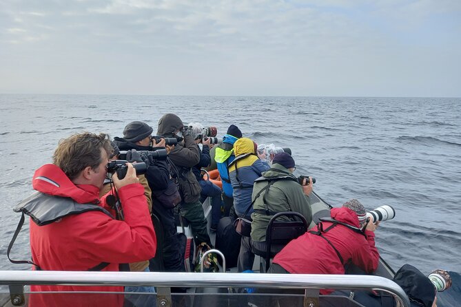 Lisbon: Dolphin Watching with a Marine Biologist - Ocean Safari - How the Route Works: Doca de Santo Amaro, Farol do Bugio, and Lisbon Sights